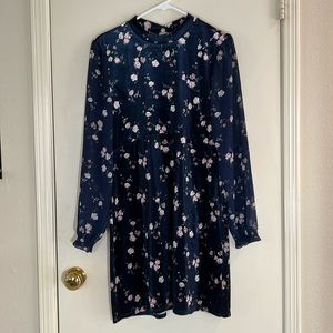 Divided blue velvet floral dress